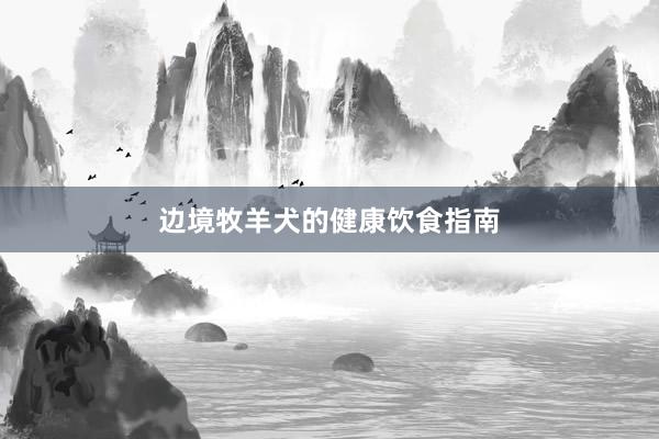 边境牧羊犬的健康饮食指南