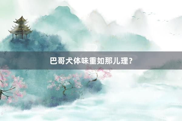巴哥犬体味重如那儿理？